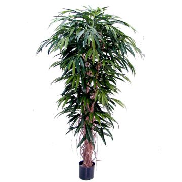 Fake Ficus Longifolia PARI, natural stems, green, 5ft/150cm