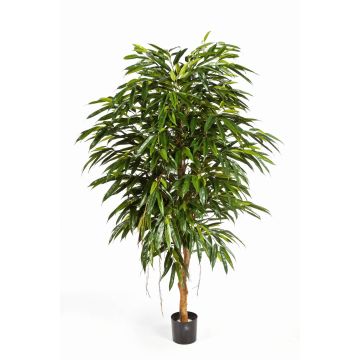 Fake Ficus Longifolia HISA, natural stem, green, 5ft/150cm