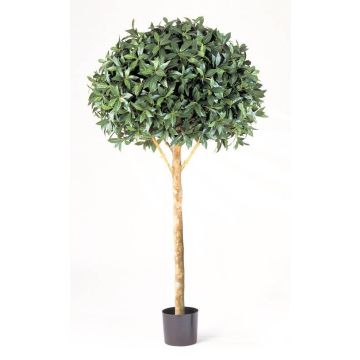 Fake Laurel ball tree SOKRATES, natural stem, 6ft/170cm, Ø 3ft/90cm