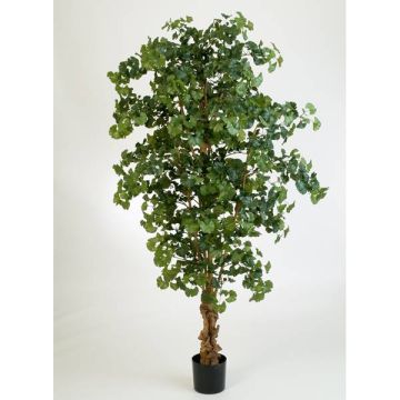 Artificial Ginkgo tree JUAN, natural stem, green, 7ft/210cm