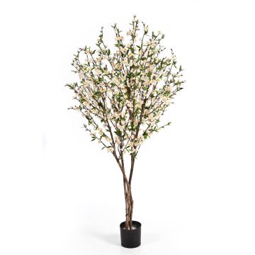 Silk Cherry blossom tree ZADAR, real stems, white, 5ft/140cm