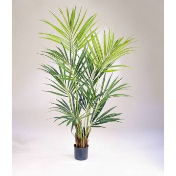 Artificial Kentia palm OMAYRA, 7ft/200cm