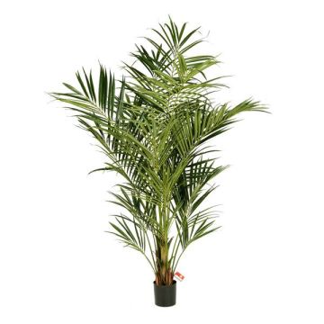 Fake Kentia palm MIYA, 7ft/225cm