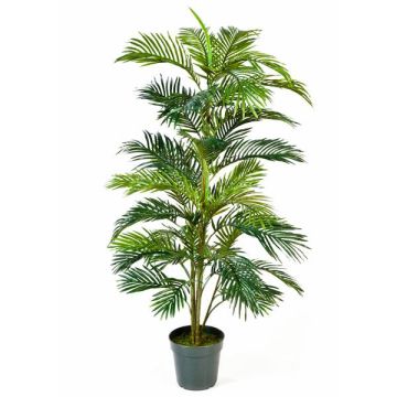 Fake Areca palm JENNICA, 5ft/150cm