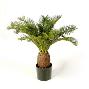 Fake Cycas palm MATTHEW, 26"/65cm