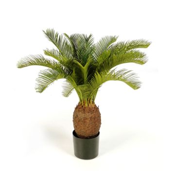 Fake Cycas palm MATTHEW, 28"/70cm