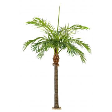 Fake Phoenix palm STEVEN, 14ft/420cm
