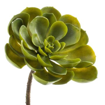 Fake echeveria RICARDO, on spike, green, 5.5"/14cm, Ø6.7"/17cm