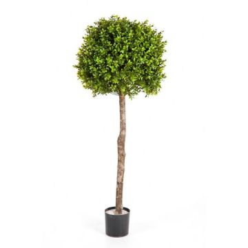 Artificial Boxwood tree TOM, real stem, 3ft/105cm, Ø 16"/40cm