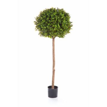 Artificial Boxwood tree TOM, real stem, 5ft/140cm, Ø 20"/50cm