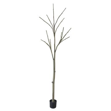 Artificial tree trunk without leaves YANING with branches, brown-grey, 9ft/270cm