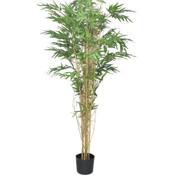 Artificial bamboo WANNING, real trunks, 6ft/180cm