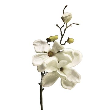 Velvet magnolia YUNFAN, cream, 18"/45cm
