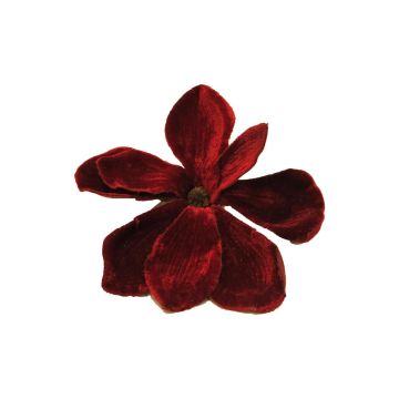 Velvet magnolia blossom YUNFAN, burgundy red