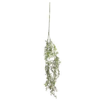 Decorative Asparagus acutifolius branch CHENMU, green-white, 3ft/100cm