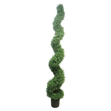 Artificial boxwood spiral FRITZ, crossdoor, 6ft/180cm