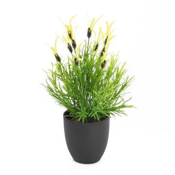 Plastic lavender LETIZIA in a decorative pot, yellow, 16"/40cm, Ø1.6"/4cm