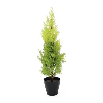 Plastic Cypress MINNA, in planter, UV-resistant, light green, 24"/60cm