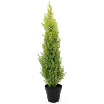 Plastic Cypress MINNA, in planter, UV-resistant, light green, 3ft/90cm