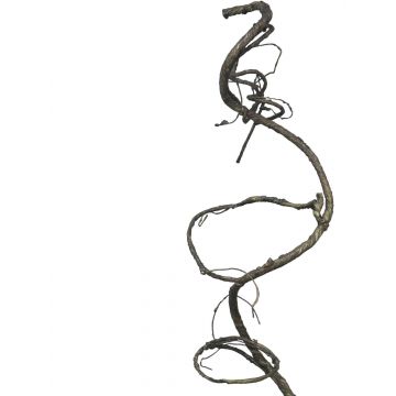 Artificial hop liana SULING, brown, 3ft/90cm