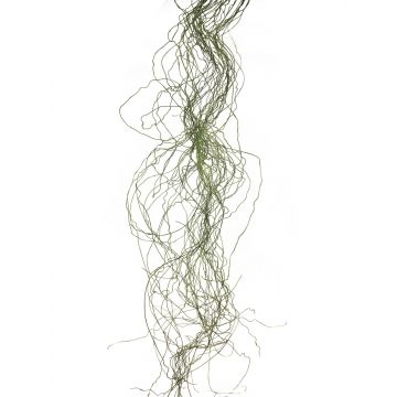 Artificial juncus effusus grass XINNUO, 48 leaves green, 150cm