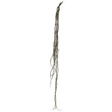 Artificial liana of Philodendron Monstera Deliciosa LEIMA, stem, black, 4ft/110cm