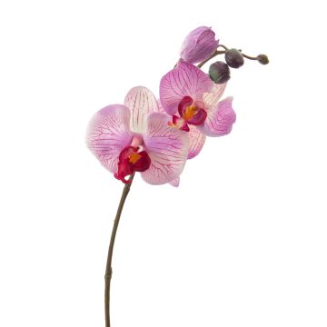 Artificial phalaenopsis spray VANESSA, pink-fuchsia, 12"/30cm, Ø0.8"-3.1"/2-8cm