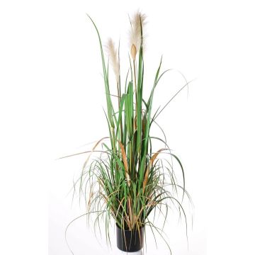 Silk reed grass EYOTA with panicles, green-brown, 4ft/120cm
