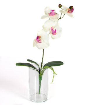 Artificial phalaenopsis MADOU, spike, white-pink, 16"/40cm, Ø3.1"-3.5"/8-9cm