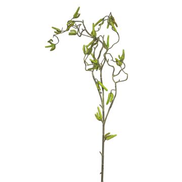 Decorative hazelnut branch SIHAO with catkins, green, 3ft/100cm