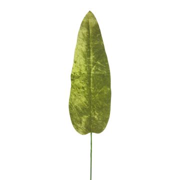Velvet banana leaf AOXUE, green, 28"/70cm