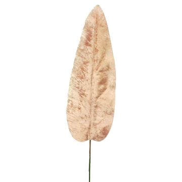Velvet banana leaf AOXUE, pink, 28"/70cm