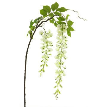 Decorative wisteria branch LIANMU, cream, 5ft/140cm