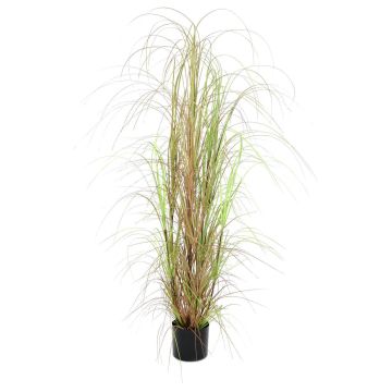 Plastic reed grass ERWINA, green-brown, 5ft/150cm