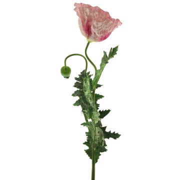 Decorative poppy MIANCUI, pink, 3ft/100cm