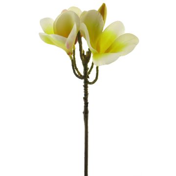 Artificial frangipani flower ZIDONG, yellow-cream, 14"/35cm