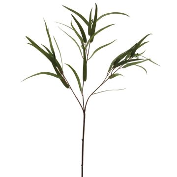 Decorative eucalyptus branch ZIYUMU with seeds, green, 31"/80cm
