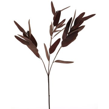 Artificial Eucalyptus branch YUZIMO with seeds, burgundy, 31"/80cm