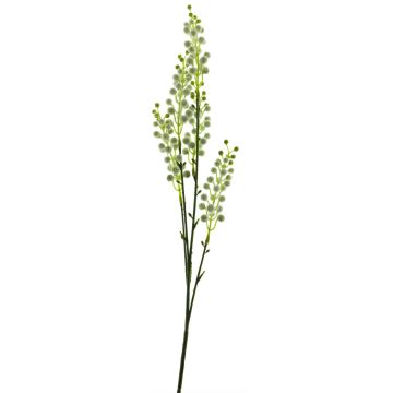 Artificial mimosa branch CHENWU, flowers, white-green, 28"/70cm
