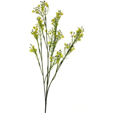 Decorative gypsophila LINFENG, yellow, 28"/70cm