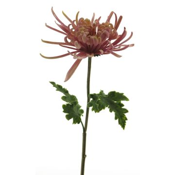 Decorative chrysanthemum YASULI, pink-lavender, 28"/70cm