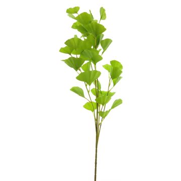 Artificial ginkgo branch RUOMIN, green, 3ft/90cm