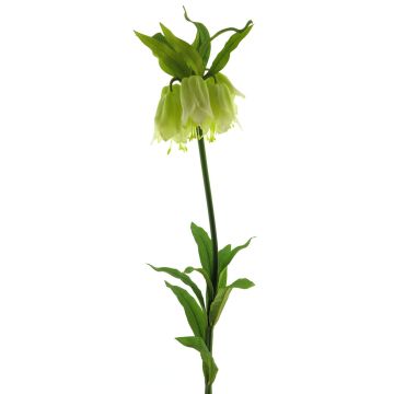 Artificial imperial crown flower YATAO, cream-green, 4ft/120cm