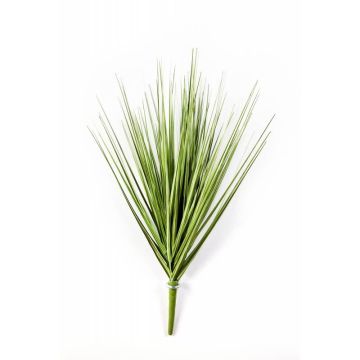 Silk sedge grass NATE, on spike, green, 16"/40cm