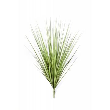 Silk sedge grass NATE, on spike, green, 3ft/100cm