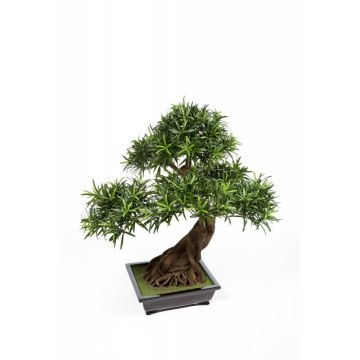 Artificial Bonsai Podocarpus MASAO, aerial roots, ceramic bowl, 33"/85cm