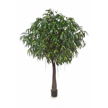 Artificial Ficus Longifolia CHAMIL, artificial stem, green, 9ft/270cm