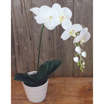 Artificial flower orchid Phalaenopsis SAHRA, decorative pot, white, 28"/70cm