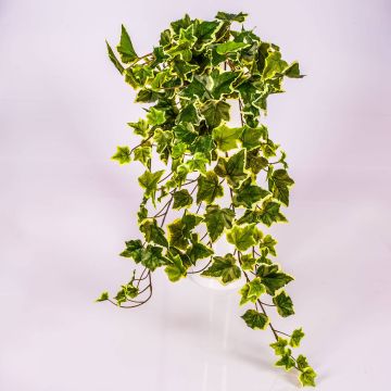 Artificial Ivy hanging plant MAJA, on spike, green-white, 28"/70cm