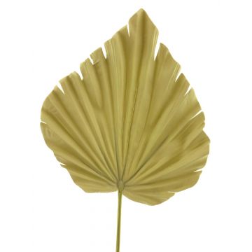 Artificial Washingtonia palm leaf RUNING, beige-yellow, 24"/60cm